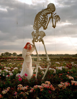 head to Thailand. . tim