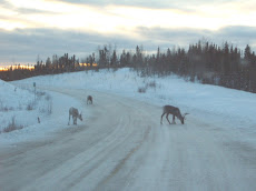 Winter in Tok