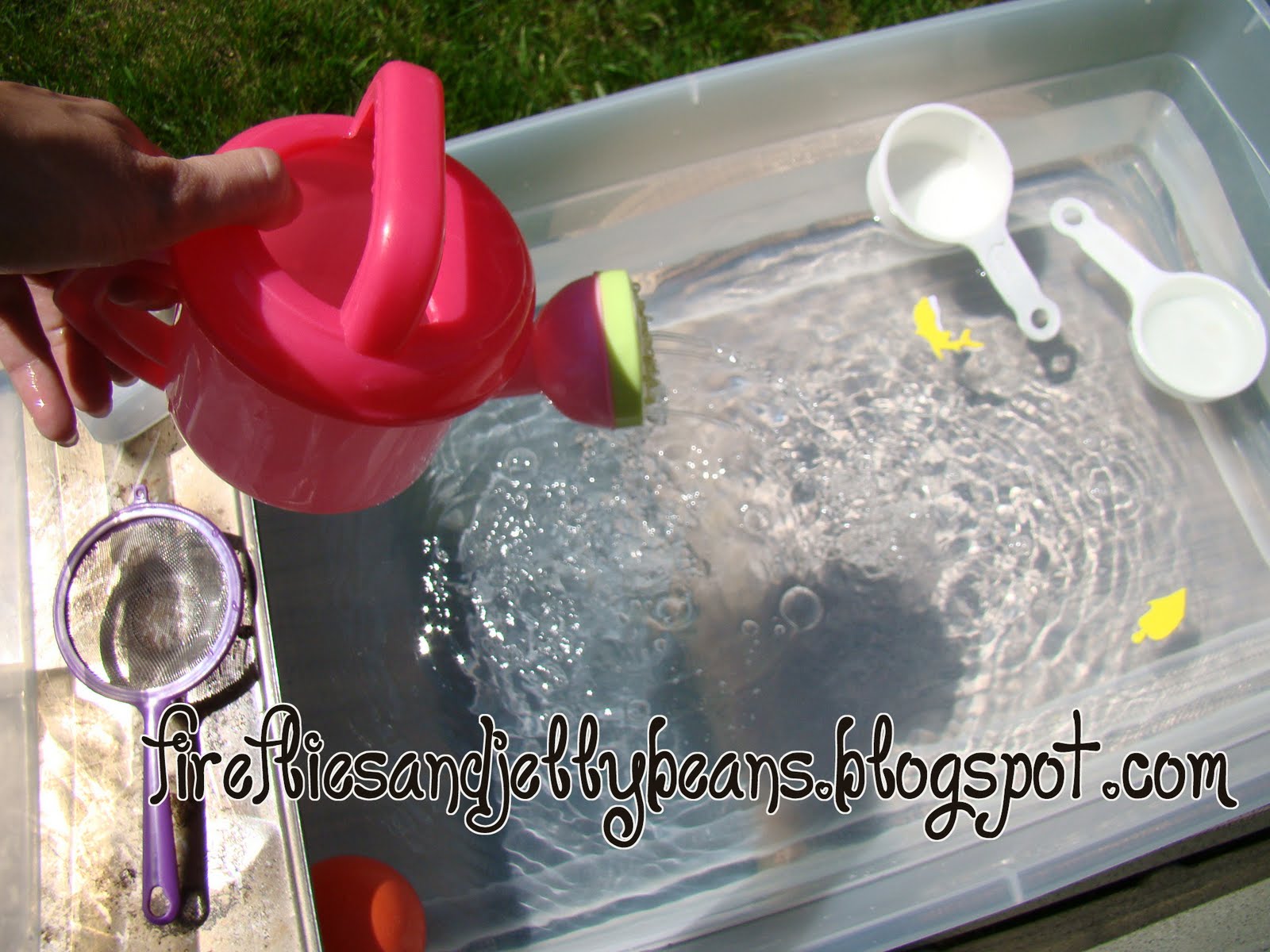 Fireflies and Jellybeans Make Your Own Water Table!