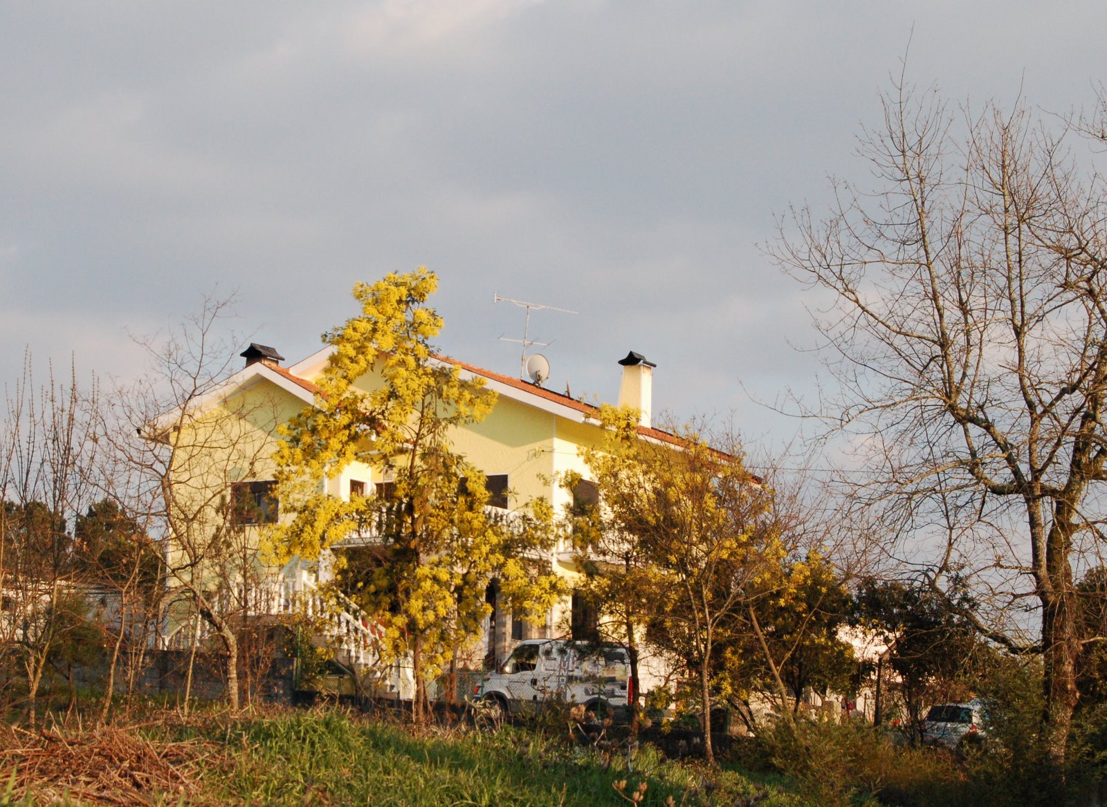 [DSC_0081.JPG]