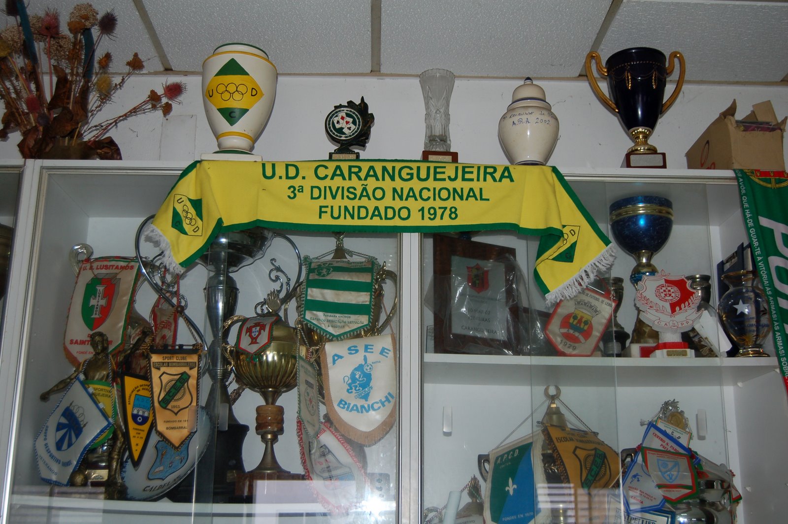 [DSC_0097.JPG]
