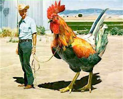 Superchicken