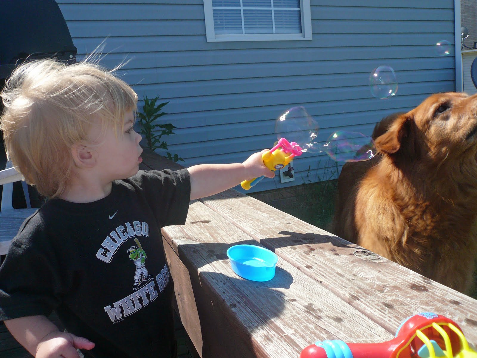 battery powered bubble wand