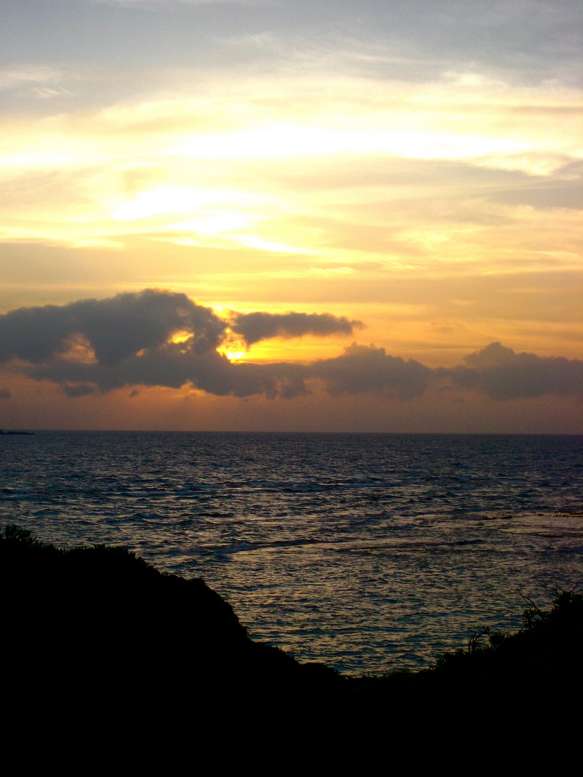 [IMG_1952_1.JPG]