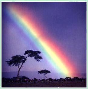 [arcoiris.jpg]