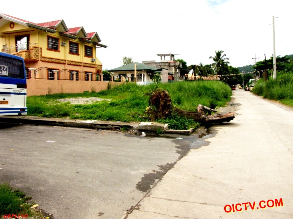 Brgy Santa Rita Olongapo City TREE DOWN at Mayumi St., Salcedo Village