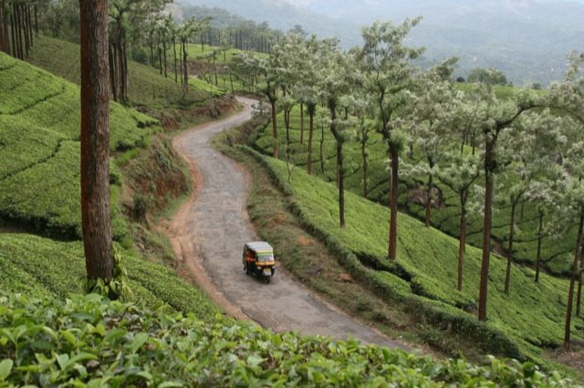 [mpn.munnar.road.001.JPG]