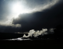 Yellowstone Section Four