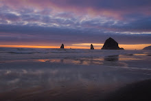 Oregon: The Coast