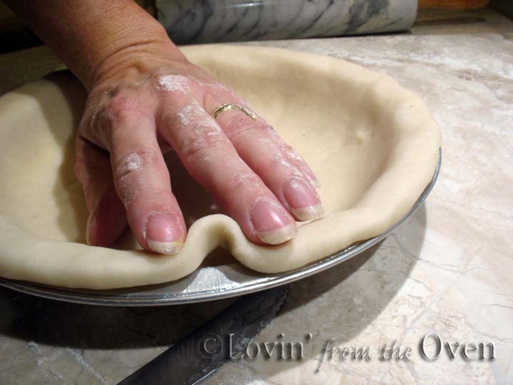 Frieda Loves Bread Perfect Single Pie Crust 101