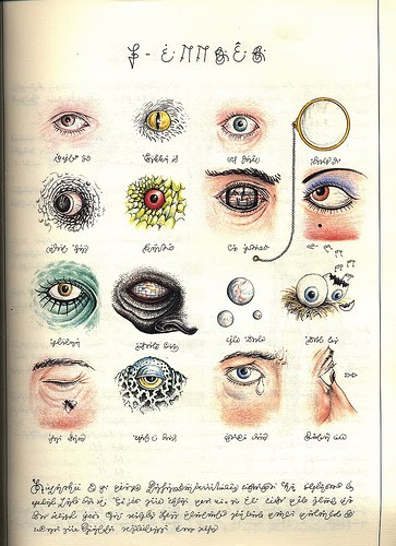 [codex13.jpg]