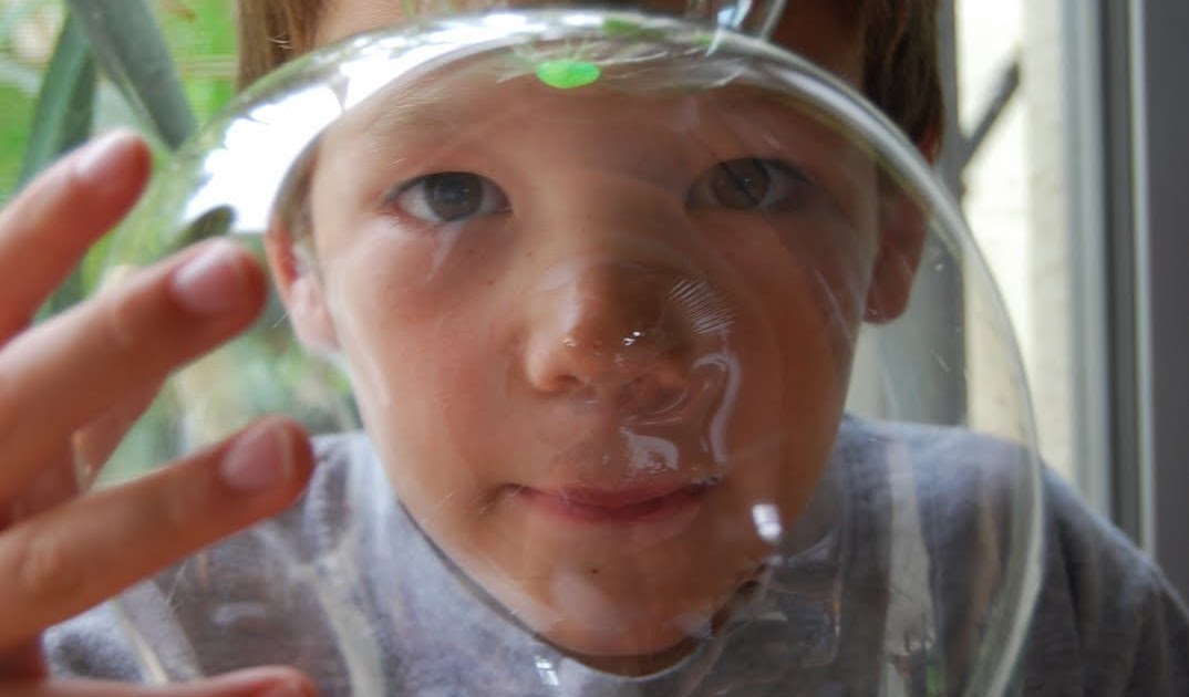 Japan Journal Japanese Bubbles