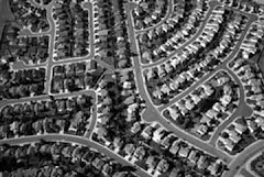 Suburban Neighborhood in the 1950