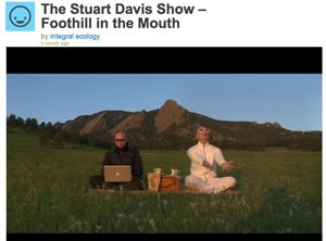 stuart davis show