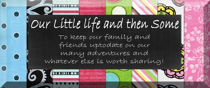 our little life