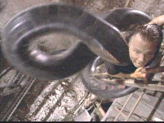 اشد الحيوانات خطورة تصبح اشد خطورة من قبل واخطر من قبل نعم انها الافعى Anaconda الارشيف منتديات مكسات