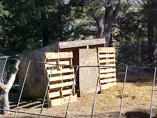 Chicken Coop