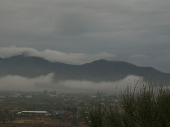 Morning after the storm