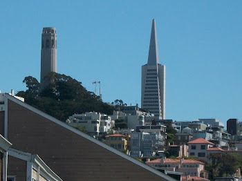 Some of SF skyline