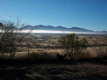 Shining fog against the Whetstones