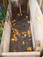 hosta coffin,still to be filled