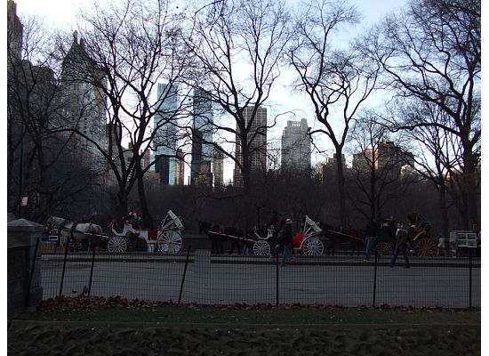 [central+park.jpeg]