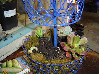 Spray Painted Wire Planter | organizingmadefun.com