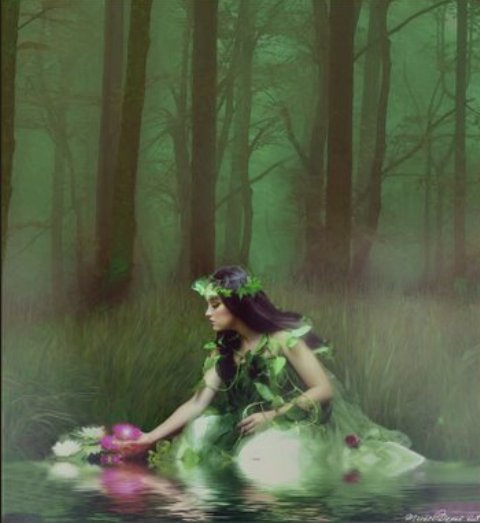 Resultado de imagem para colher flores