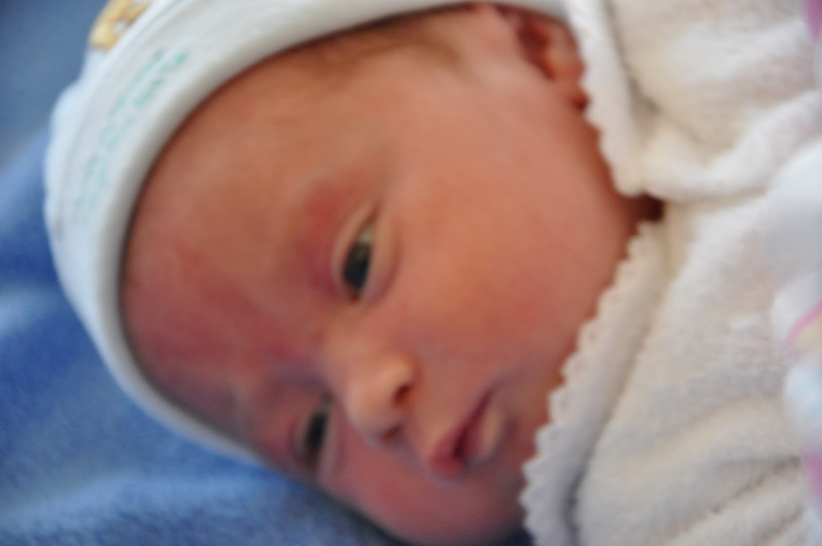 Exactly What Are Four Top Strollers Celebrities Buy 