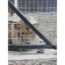 [image-upload-727753.jpe]