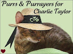 Get Well Soon, Charlie