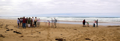 raw image after autostitching
