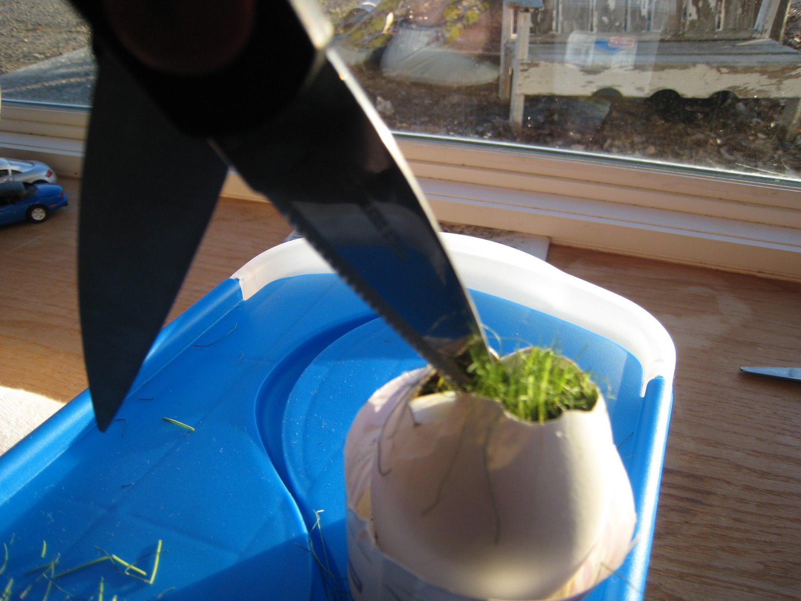 [January+2007+436.jpg]