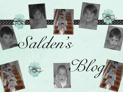 Salden  Family  Blog