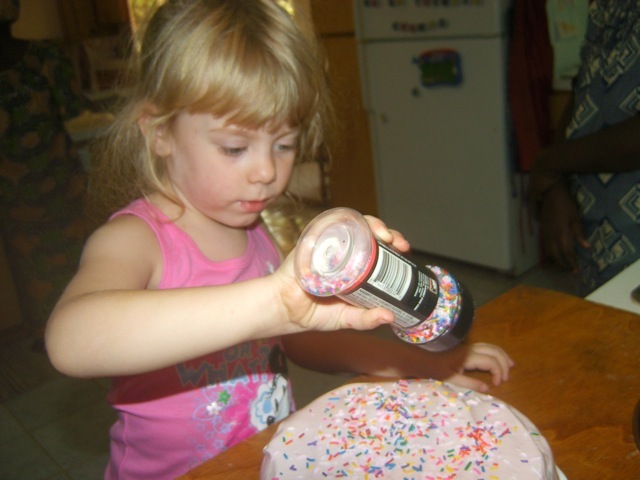 [DCAM0103.JPG]