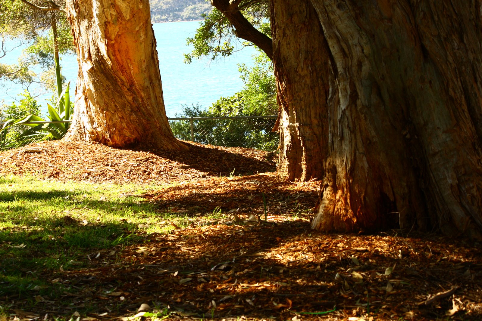 [GI+-+The+land+-+01.JPG]