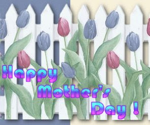 _mothers-day-tulips image