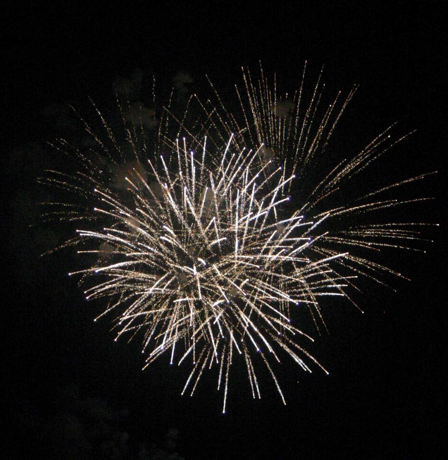 [IMG_9503.JPG]