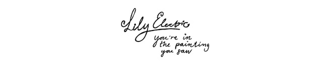 Lily Electric Blog