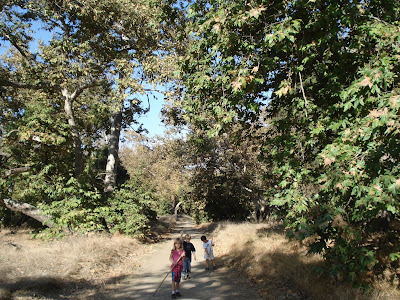 Arroyo Trabuco Trail