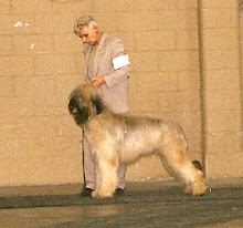 Tacoma Kennel Club, 1998