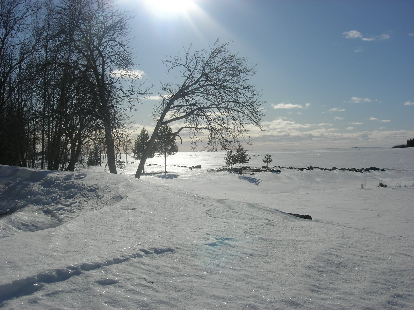 63°49'latitudinenord: march 2010 Winter ispirazioni veranda