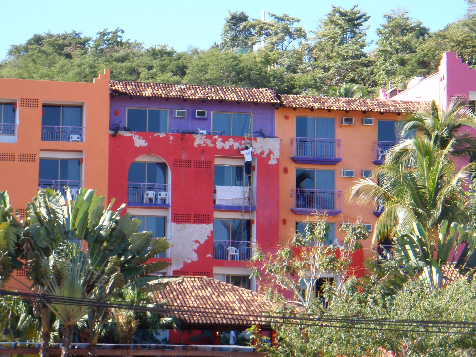 [P2193656.JPG]