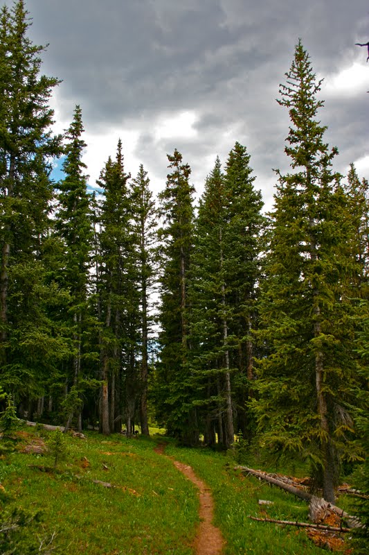 Colorado Lifestyle Mt. Thomas