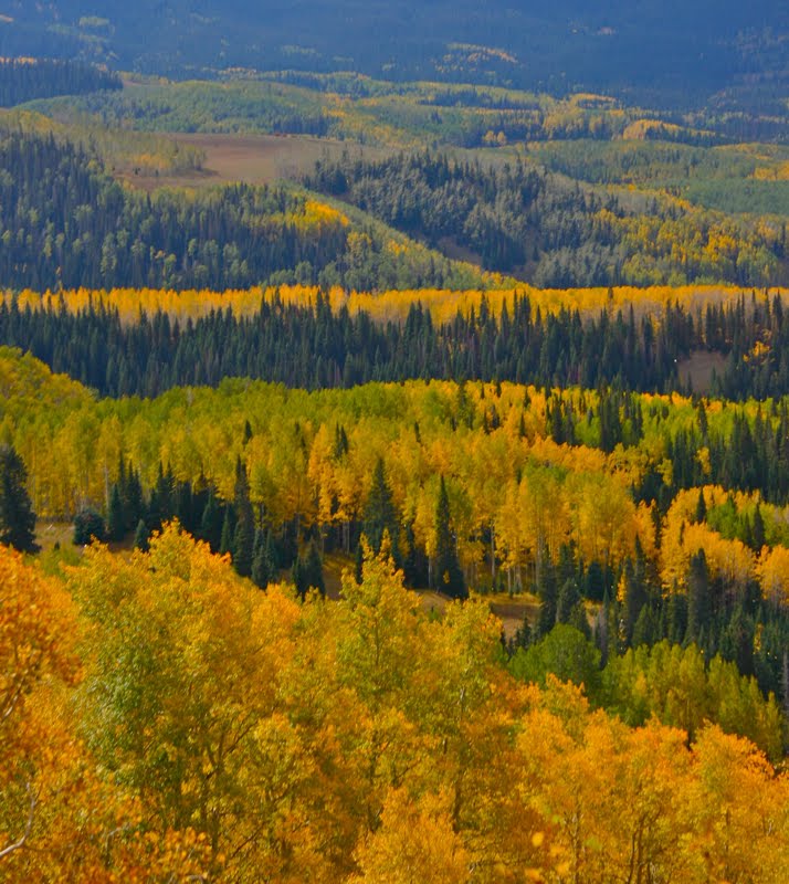 Colorado Lifestyle Scenic Drive Flat Tops Scenic Byway to Trappers Lake