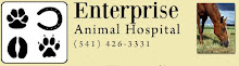 Enterprise Animal Hospital