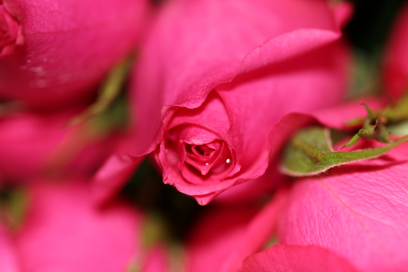 [IMG_2361.JPG]