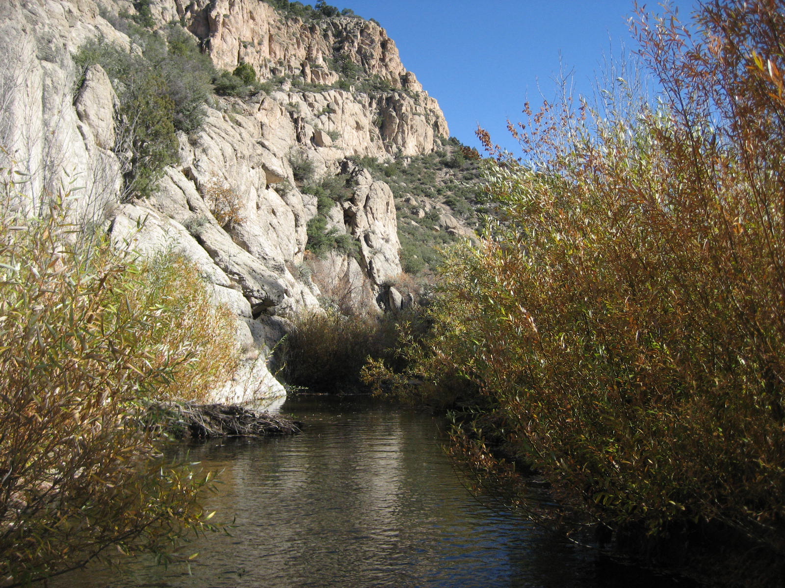 The Benson Journey 2010