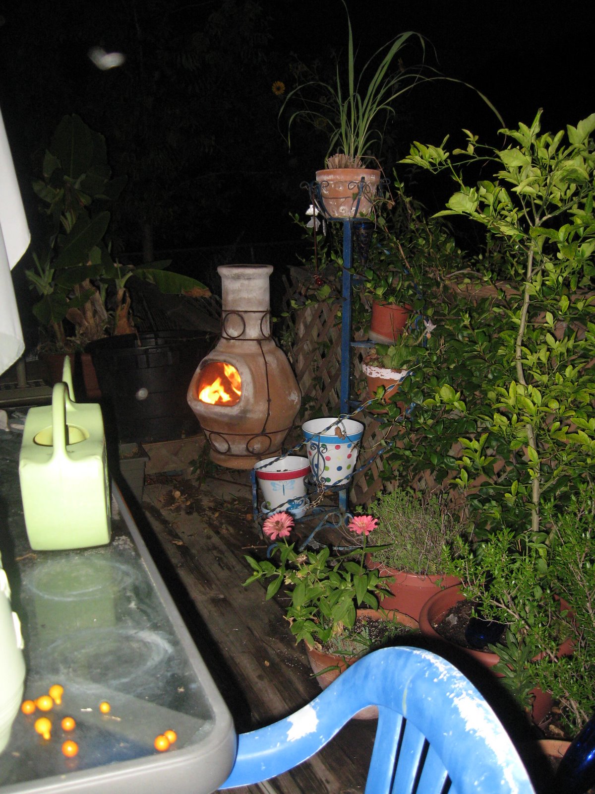 [IMG_5233.JPG]