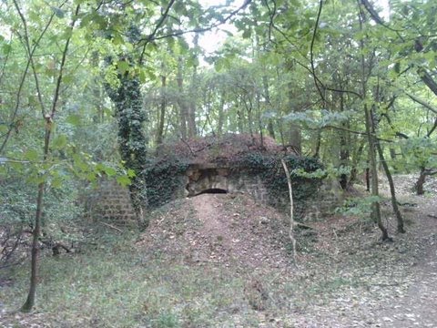 [P130909_18.110001.JPG]